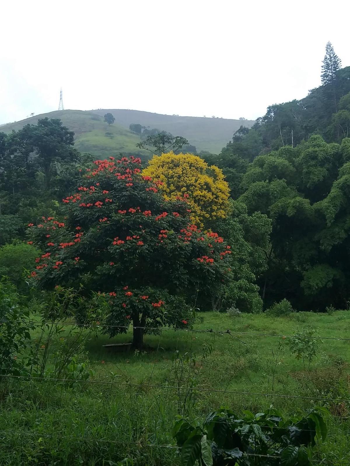 Fazenda Piloes Villa Petrópolis Exterior foto