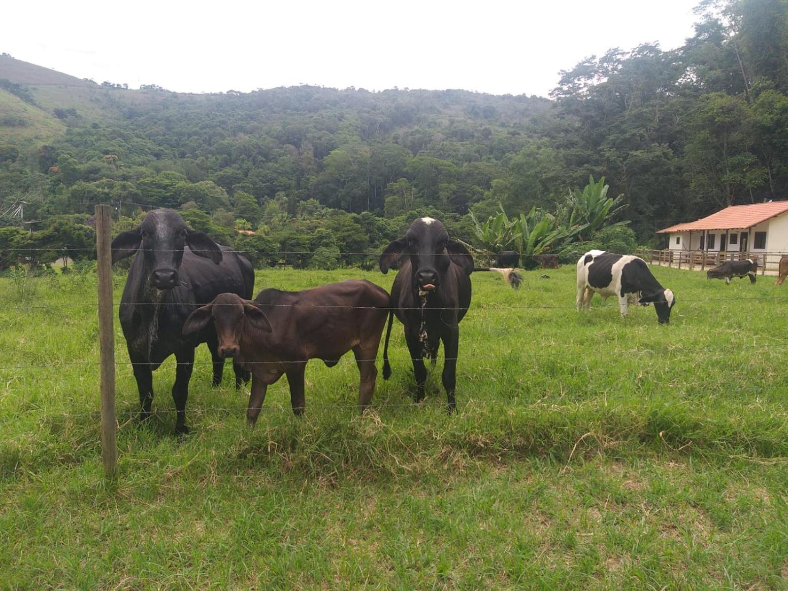 Fazenda Piloes Villa Petrópolis Exterior foto